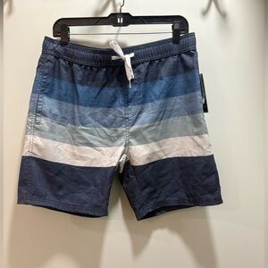 Trinity Men's Swim Shorts - Navy and Gray Stripes